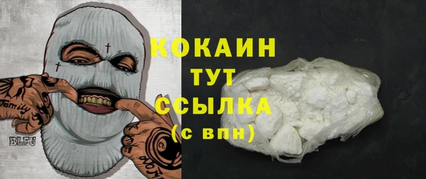 индика Абинск