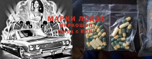 индика Абинск